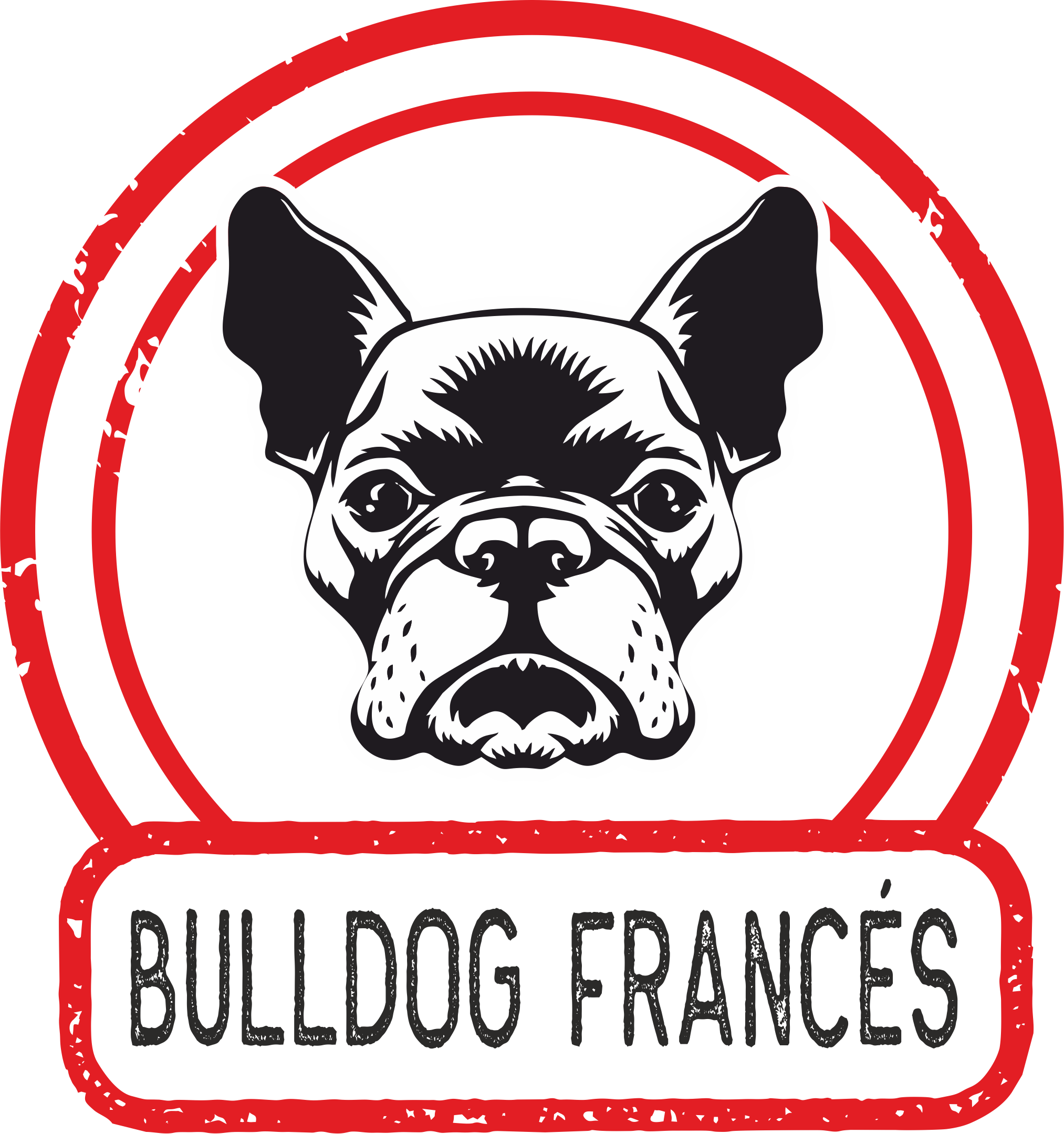 dog001